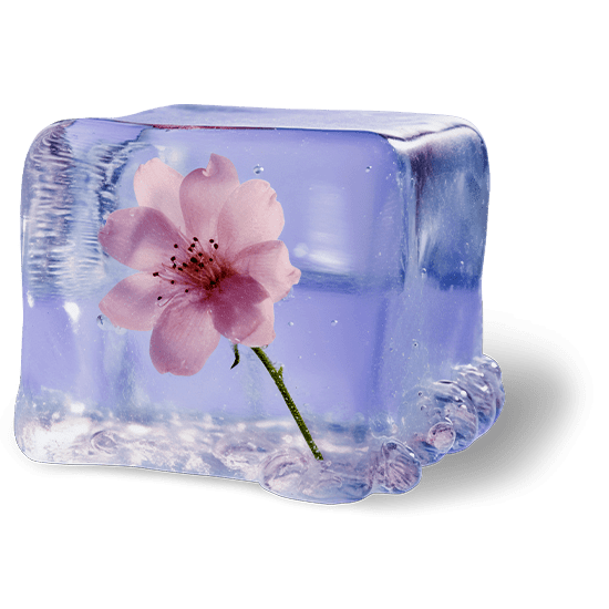 «Цистит от холода» и другие зимние обострения у женщин