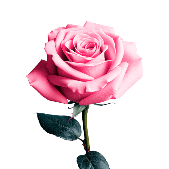 Кольпоскопия