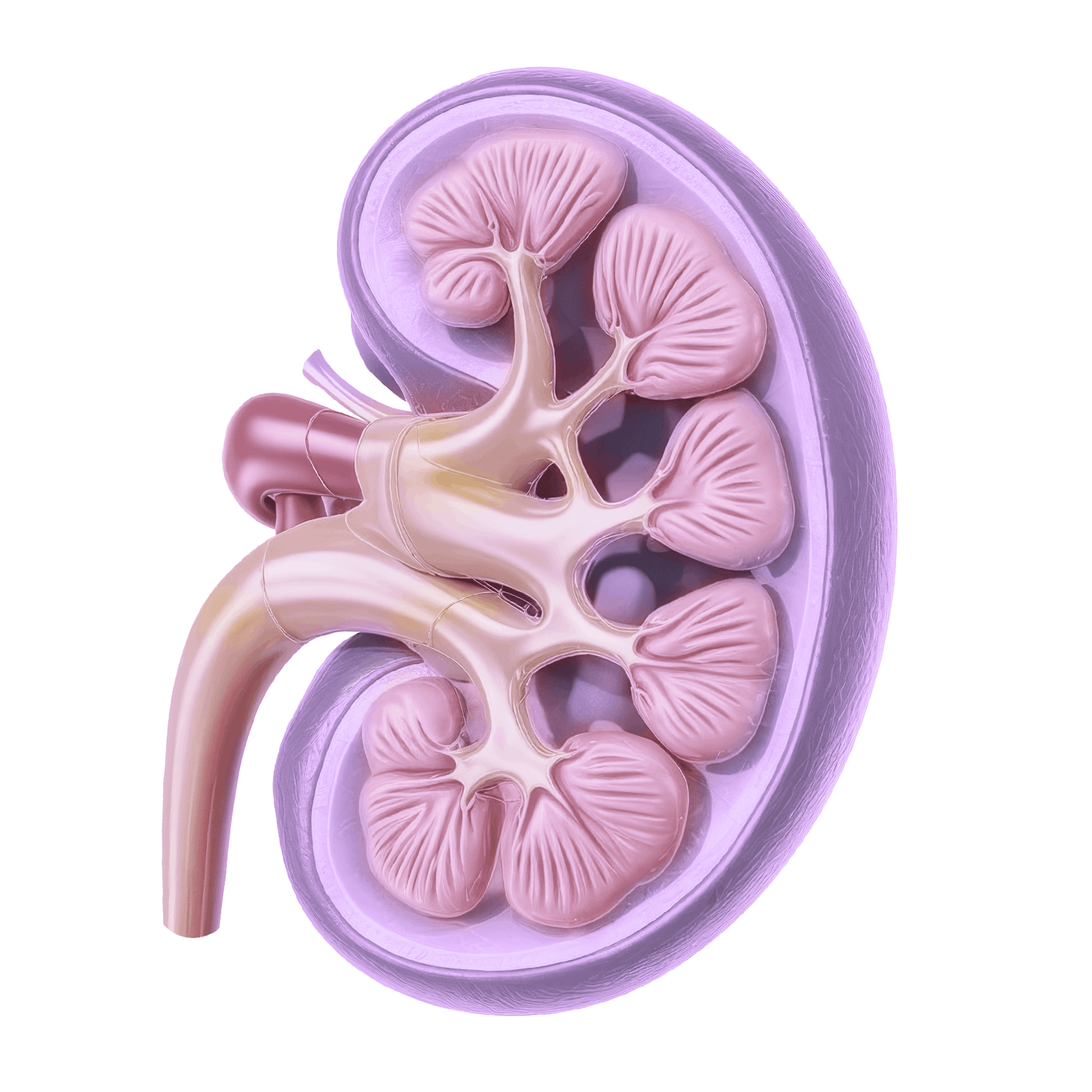 Урологические операции