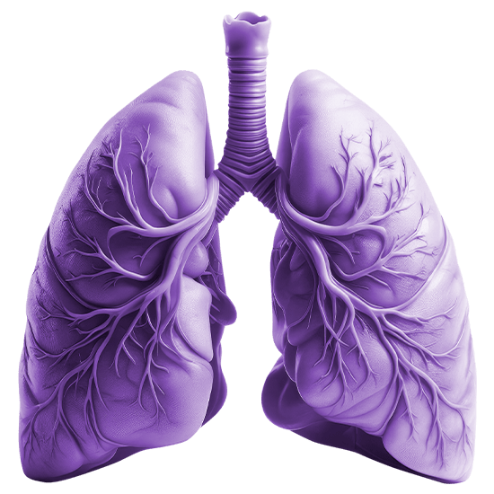 Пульмонология