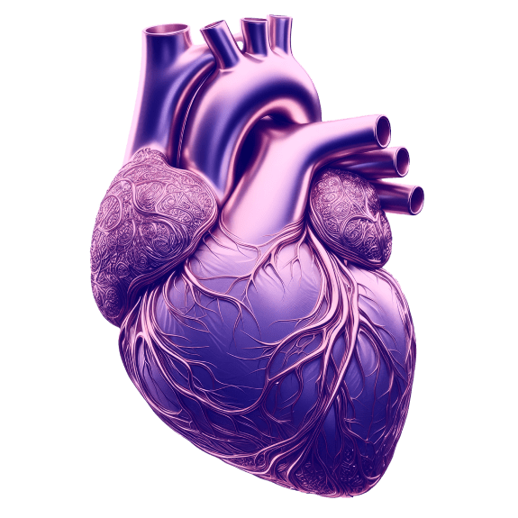 Кардиология