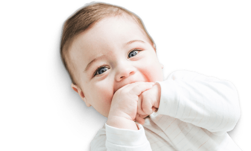 С 4 до 11 месяцев