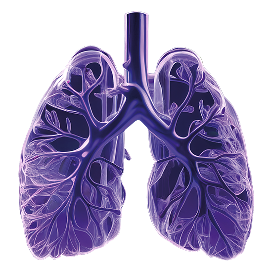 Заболевания верхних и нижних дыхательных путей